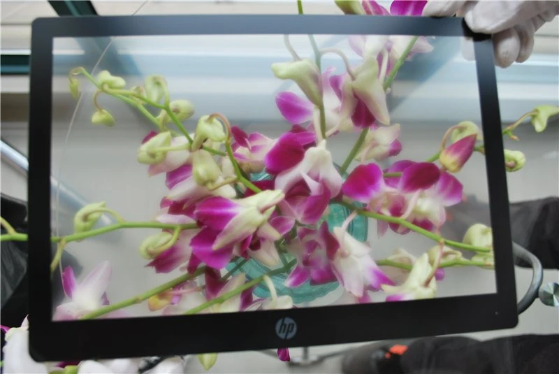Anti Glare(AG) Etched Glass