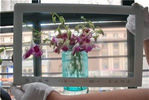 Anti Glare Etched Glass