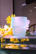 Satin Effect Glass Cup
